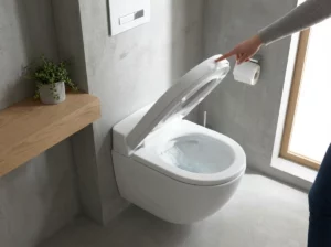 utiliser eau pluie wc